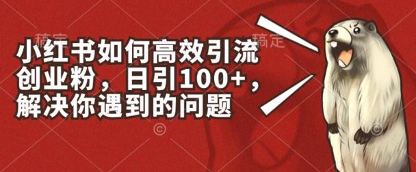小红书如何高效引流创业粉，日引100+，解决你遇到的问题【揭秘】引流获客-私域-网赚项目-副业赚钱-互联网创业-资源整合星途社