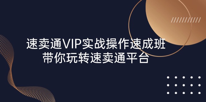(10935期)速卖通 VIP实战操作-速成班,带你玩转速卖通平台(23节)